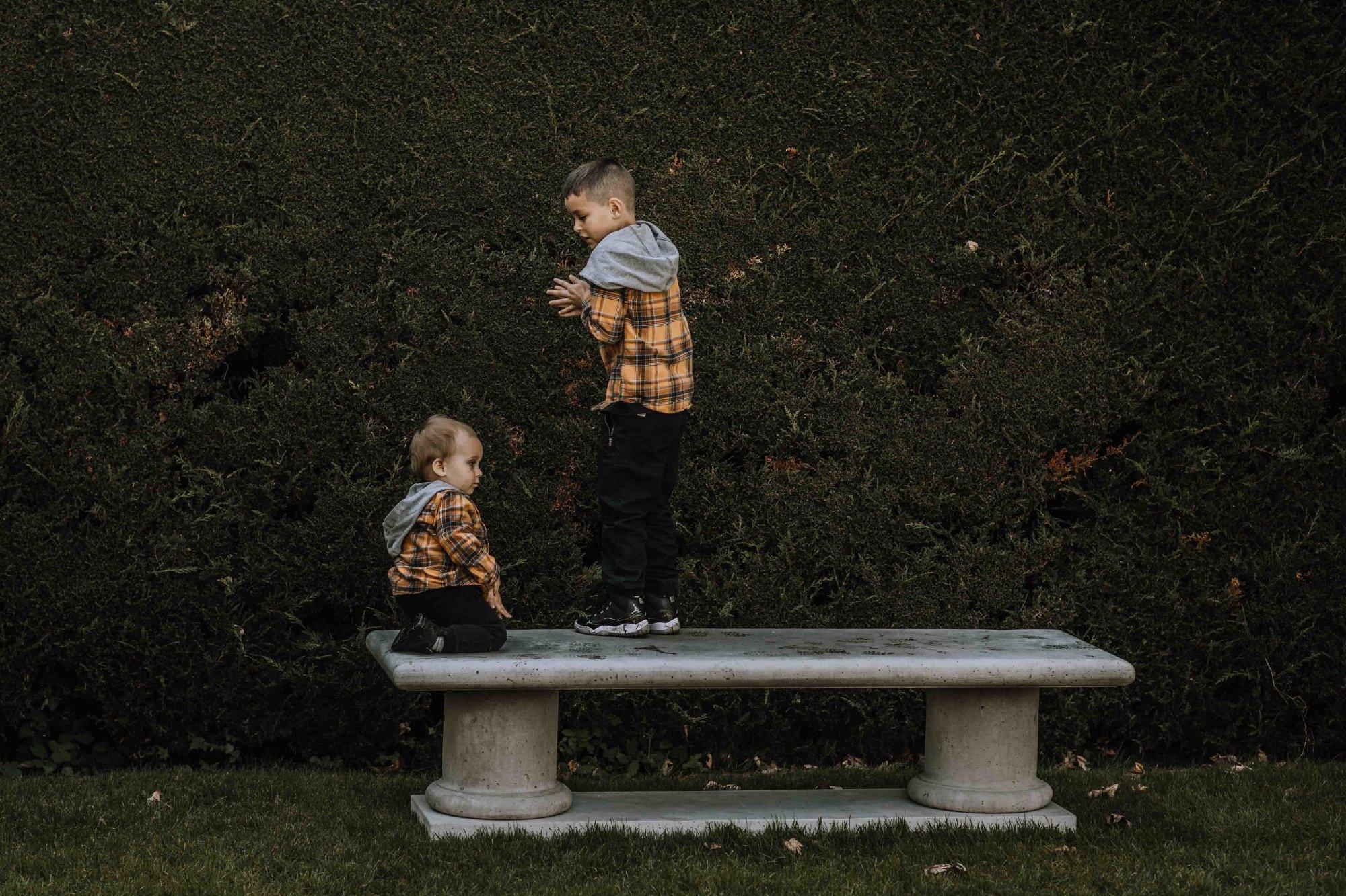 carousel-hero-element image-12