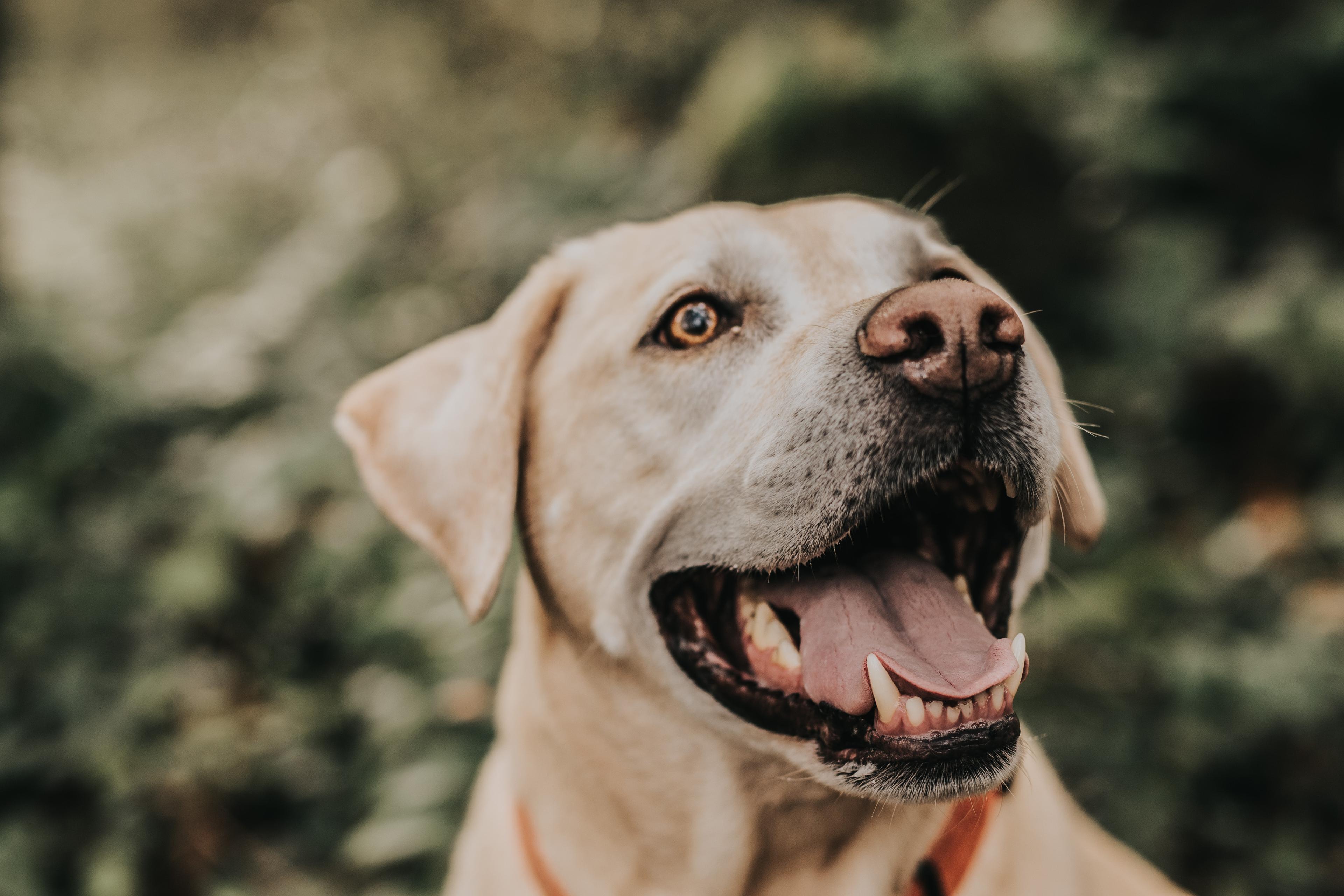 carousel-hero-element image-8