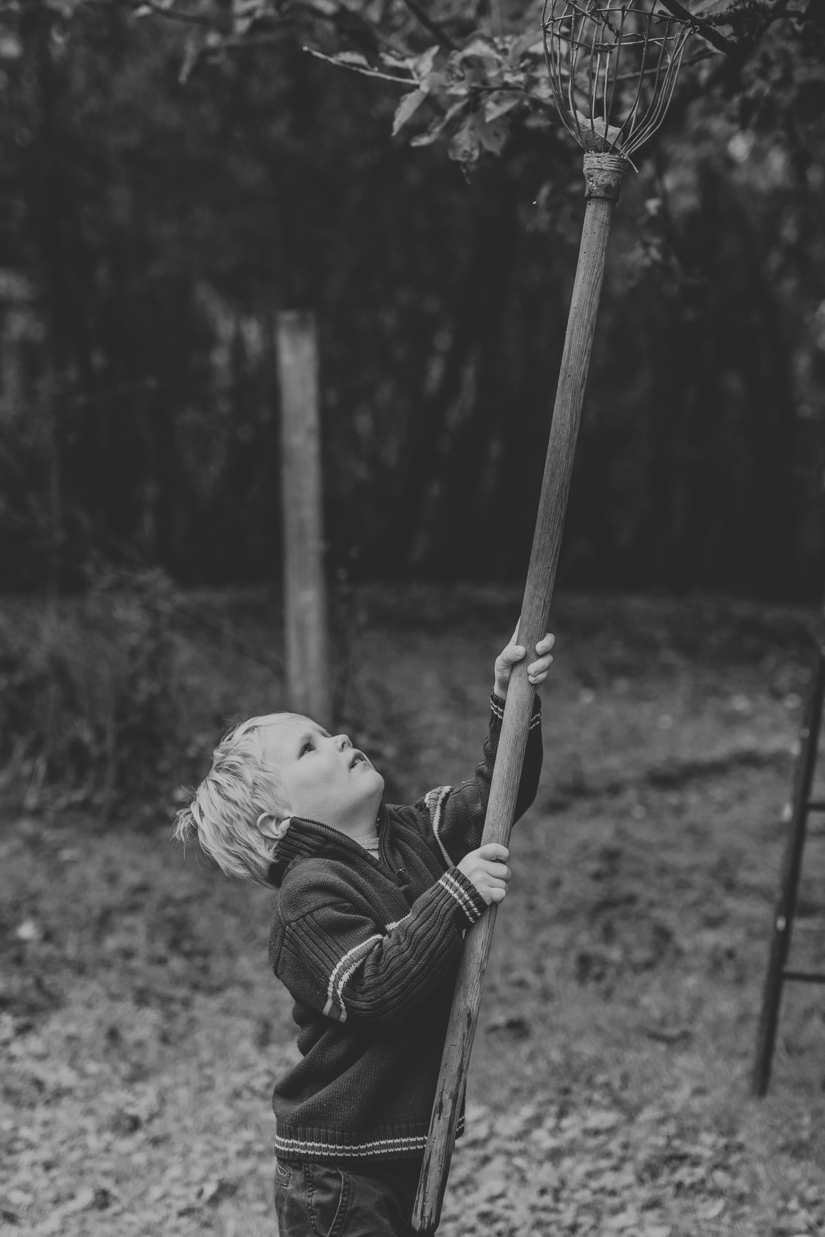 carousel-hero-element image-12