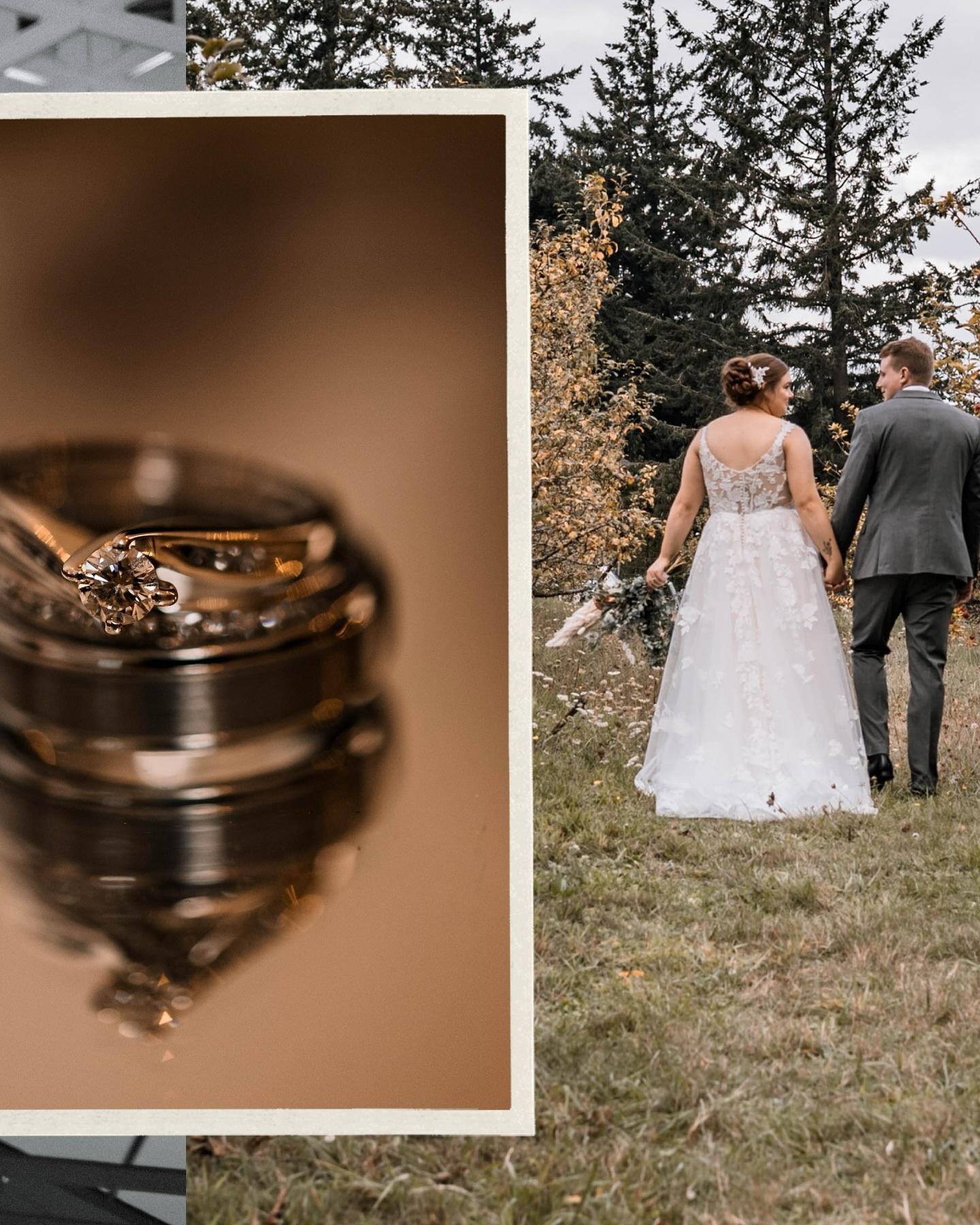 Victoria BC Wedding Photographer, A Day of Laughter, Love, and Good Vibes: An Enchanted Orchard Wedding